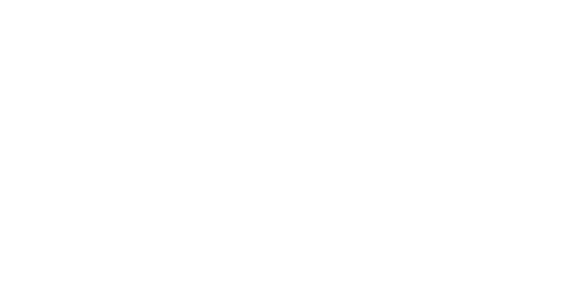 世界に2台だけ。